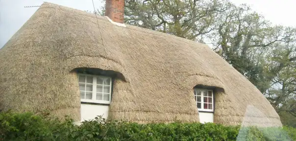 thatched Cottage Roof