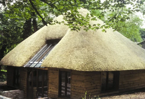 Thatched Roof With Skylight