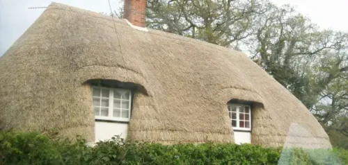 thatched Cottage Roof